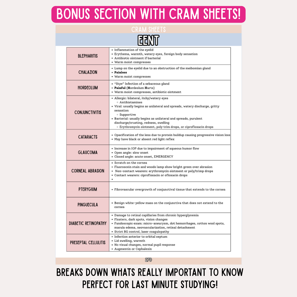 The Family Nurse Practitioner School Guide